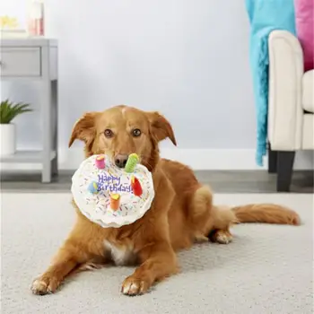  Симпатичная мягкая собака Подарок на день рождения Интерактивная экологически чистая плюшевая игрушка для домашних животных для собак Товары для домашних животных Собака День рождения Плюшевая игрушка с самым высоким рейтингом Сейф